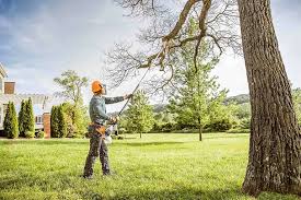  China Lake Acres, CA Tree Removal and Landscaping Services Pros